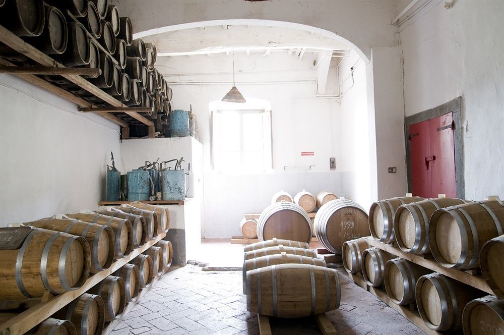 Fattoria Di Bacchereto - Guest House Экстерьер фото